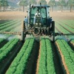 Empleo para Responsable de Operación Agropecuaria