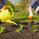 Se solicita personal para cuidado de finca agrícola